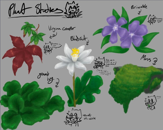 Plant studies